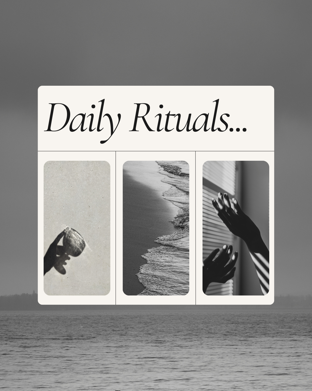  wellness daily  rituals 